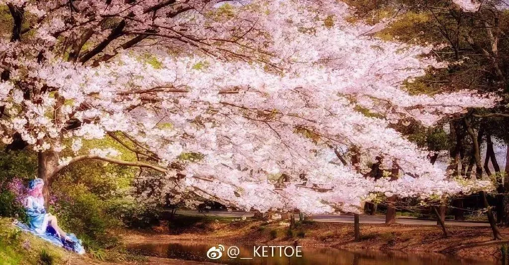Kettoe – NO.01 微博配图[2][16] [67P]插图
